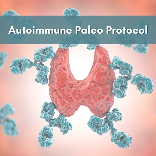 Chiropractic Winter Haven FL Autoimmune Paleo Protocol Chiropractic Winter Haven FL Autoimmune Paleo Protocol