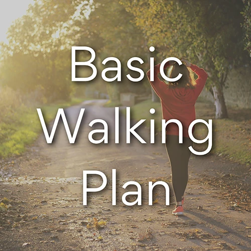 Chiropractic Winter Haven FL Basic Walking Plan