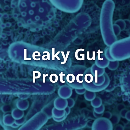 Chiropractic Winter Haven FL Leaky Gut Protocol Chiropractic Winter Haven FL Leaky Gut Protocol